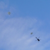 1st Operation Toy Drop 091
